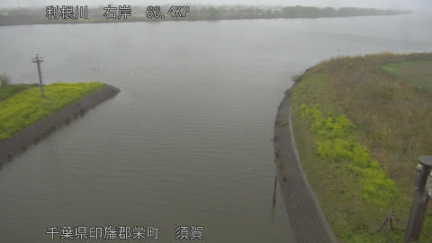 tonsu2026033116_image