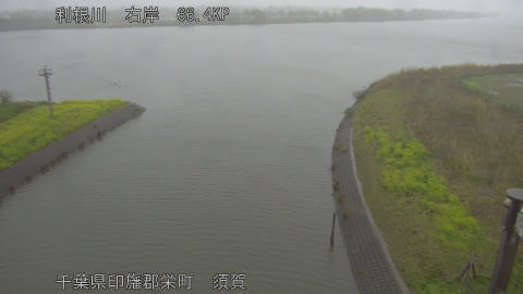 tonsu2026033117_image