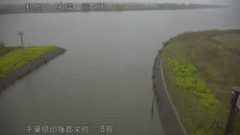 tonsu2026033118_image