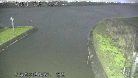 tonsu2026033120_image