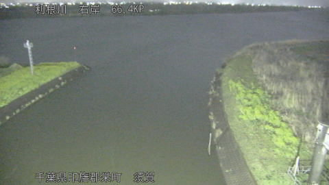 tonsu2026033122_image