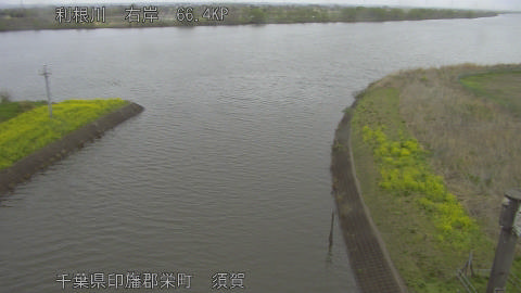 tonsu2026040108_image