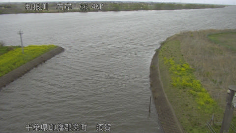 tonsu2026040109_image