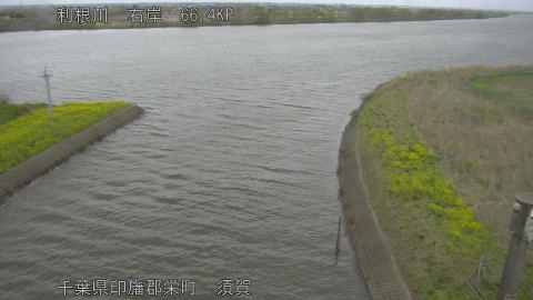 tonsu2026040110_image