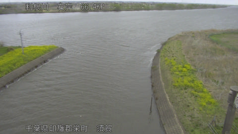 tonsu2026040111_image