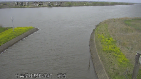 tonsu2026040112_image