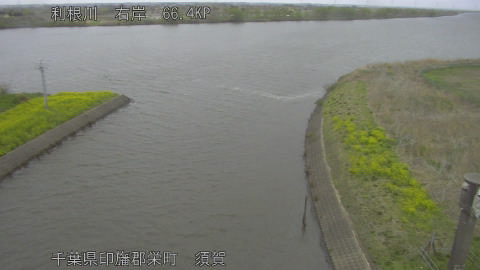 tonsu2026040113_image