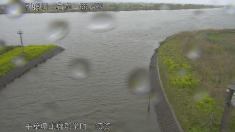 tonsu2026040114_image