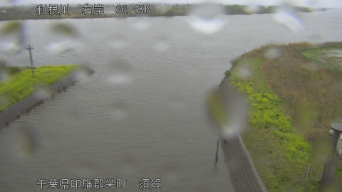 tonsu2026040116_image