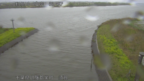 tonsu2026040117_image