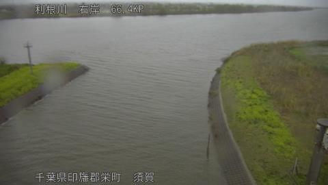 tonsu2026040118_image