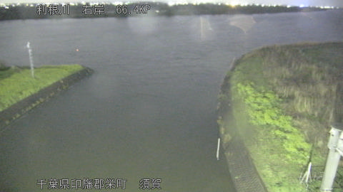 tonsu2026040119_image