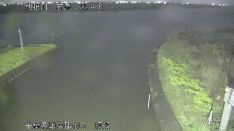 tonsu2026040200_image