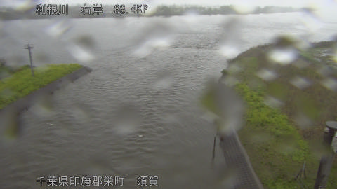 tonsu2026040208_image