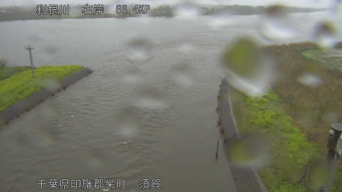 tonsu2026040209_image