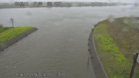 tonsu2026040210_image