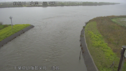 tonsu2026040211_image