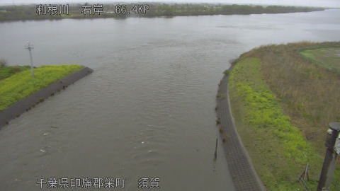 tonsu2026040212_image