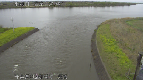 tonsu2026040213_image