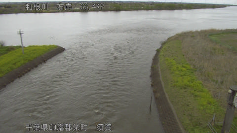 tonsu2026040214_image