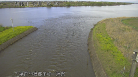 tonsu2026040215_image