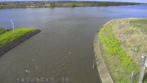 tonsu2026040216_image