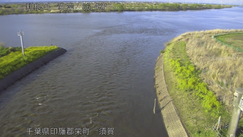 tonsu2026040217_image