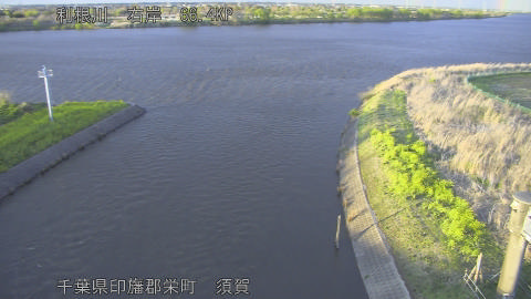 tonsu2026040218_image