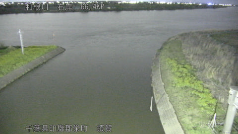 tonsu2026040220_image