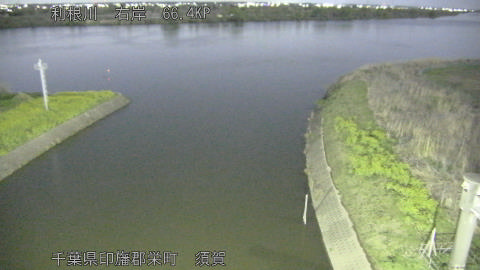 tonsu2026040222_image