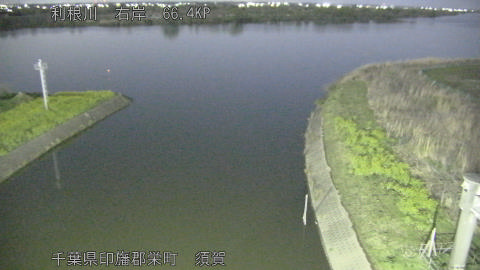 tonsu2026040304_image