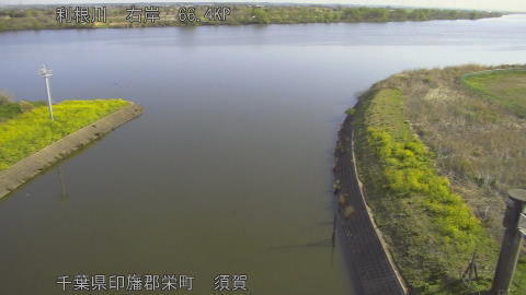 tonsu2026040308_image