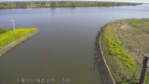 tonsu2026040309_image