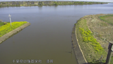 tonsu2026040310_image