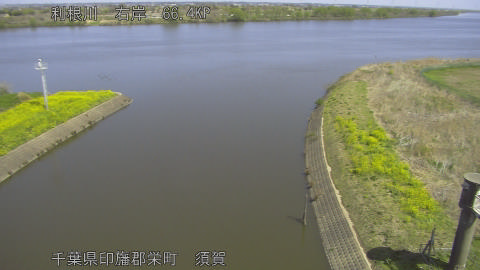 tonsu2026040311_image