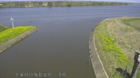 tonsu2026040312_image