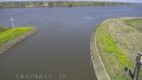 tonsu2026040313_image