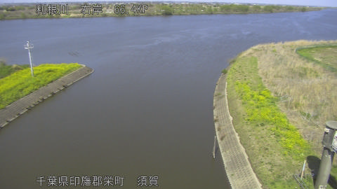 tonsu2026040314_image