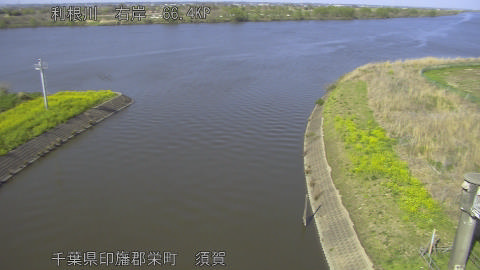 tonsu2026040315_image