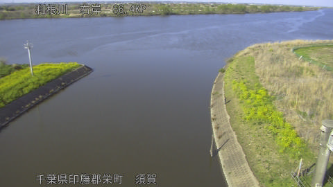 tonsu2026040316_image