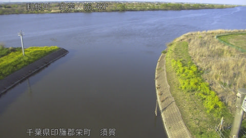 tonsu2026040317_image