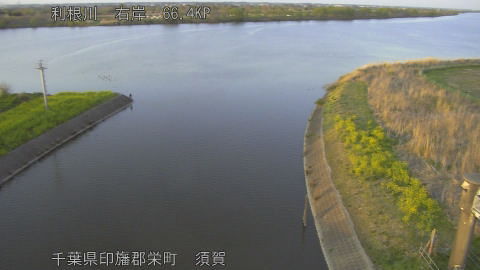 tonsu2026040318_image