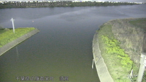 tonsu2026040322_image