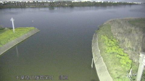 tonsu2026040400_image