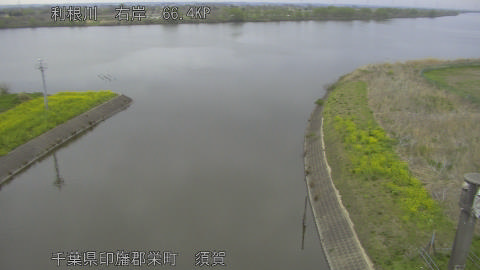 tonsu2026040407_image