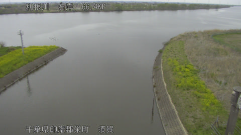 tonsu2026040408_image