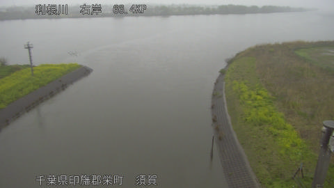 tonsu2026040409_image