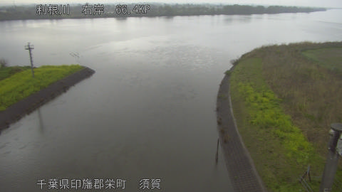 tonsu2026040410_image