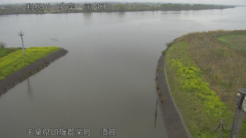 tonsu2026040411_image