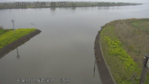 tonsu2026040412_image